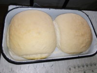 IMG_20200324_123713.jpg