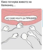 032CFF59-AACF-4BC7-B962-5C72C0F3E216.jpeg