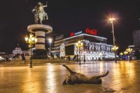 8C8392FE-C1C0-4472-91EC-AA655D989509.jpeg