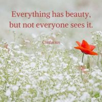 Everything-has-beauty-but-not-everyone-sees-it..jpg