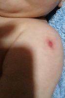 IMG_20200330_192646.jpg
