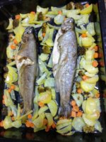 IMG_20191222_150949.jpg