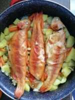 IMG_20200403_161614.jpg