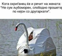 received_1086752304694417.jpeg