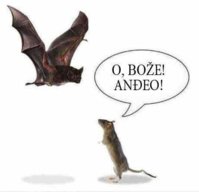 FB_IMG_1580364516887.jpg