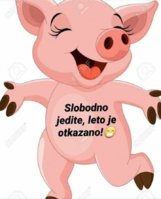 FB_IMG_1586356064618.jpg