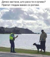 FB_IMG_1586338437667.jpg