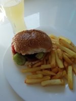IMG_20200409_150108.jpg