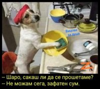 F8FF636D-EE20-4273-9DCE-E9B239024D7C.jpeg