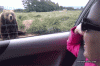 394.gif