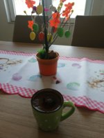 IMG_20200412_122734.jpg