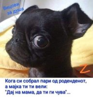 755869B9-124D-4AC3-88B8-9F1547256E26.jpeg