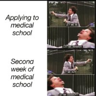 D8D8C11E-8E7A-4DCF-B49B-51FDC29348E3.jpeg
