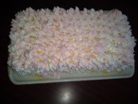 IMG_20200418_121611052.jpg