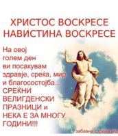 IMG-8e8fd8bc7cc5c42225cb25e7f6aefe0c-V.jpg