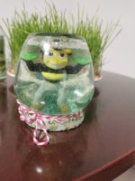 IMG_20200420_204129.jpg