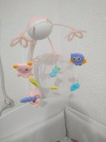 IMG_20200415_151532.jpg
