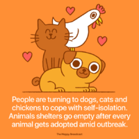 tumblr_ee8c58fc6fe5310e0ed9d45b8c8e8ee4_a4fabf45_1280.png