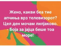 FB_IMG_1588146666053.jpg