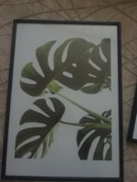 IMG_20200505_134805.jpg