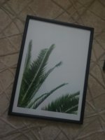 IMG_20200505_134833.jpg