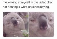 FB_IMG_1588712649773.jpg