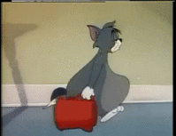 LivelyJealousAndeancockoftherock-size_restricted.gif