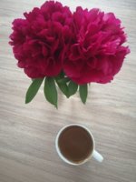 IMG_20200510_100913.jpg