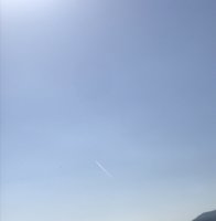 9842579A-8482-4C10-B36E-BCF78E781358.jpeg