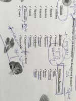 F82A5653-66EC-4FF0-AEFA-C5D4C7DE44E7.jpeg