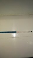 IMG_20200521_075749.jpg