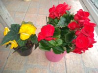 IMG_20200519_184949722.jpg
