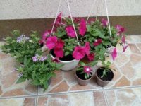 received_598513817684506.jpeg
