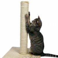 Cat-Scratching-Post.jpg