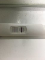 01202BCF-B65A-4157-93C9-02B3E6690EE6.jpeg