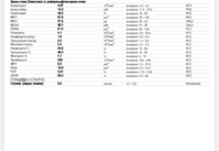 D5D14059-A7FD-4B87-8C64-446B5F7925F5.jpeg