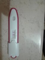 IMG_20200526_094703.jpg