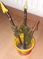 20200602_205330.jpg