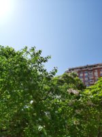 rsz_20200607_094758.jpg