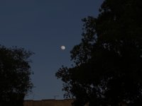 DC1D354E-5378-406D-B9EA-0809F5324016.jpeg