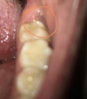 005EDE38-447A-4E37-A573-6D67C3FE4E6E.jpeg