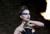 Black_Swan_1-420x0.jpg