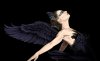 black_swan_by_diegobernardo-d3b1xpl.jpg