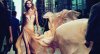 elie-saab-perfume_banner.jpg{w=700,h=383}.th.jpg