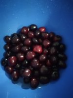IMG_20200618_205718.jpg