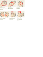 Using-your-hand-as-a-guide-to-estimate-portion-size.png