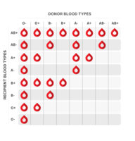 DonorRecipient-Chart_1.jpg