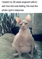 B5EAC20E-5D9C-471D-BA9B-51D3C0F46C49.jpeg