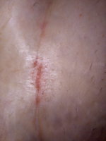 IMG_20200622_211213.jpg