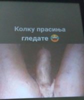IMG_20200705_102737.jpg